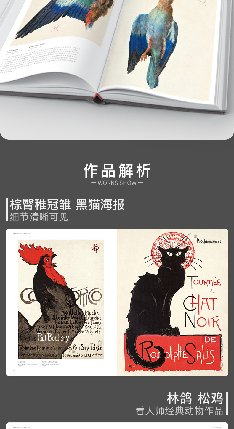 详情26.jpg