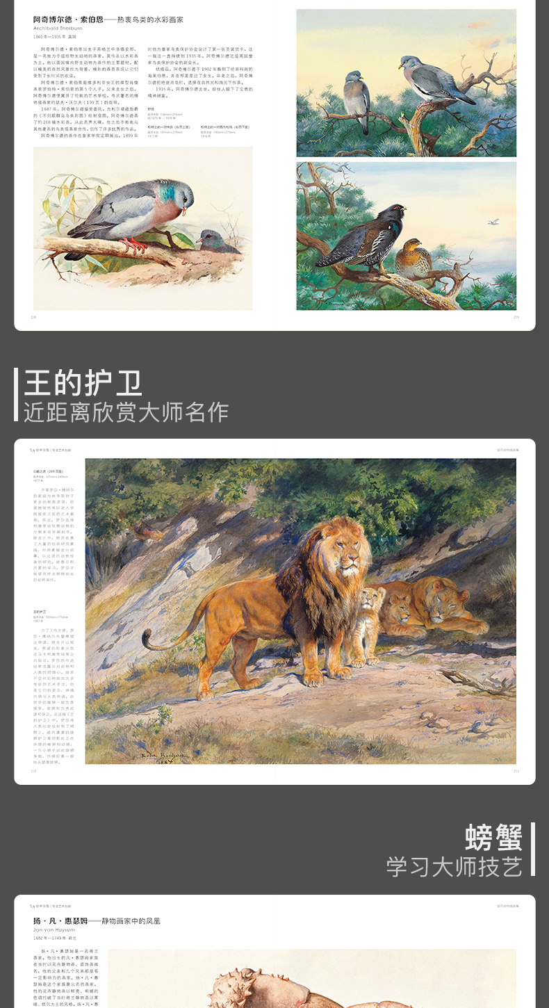 详情27.jpg
