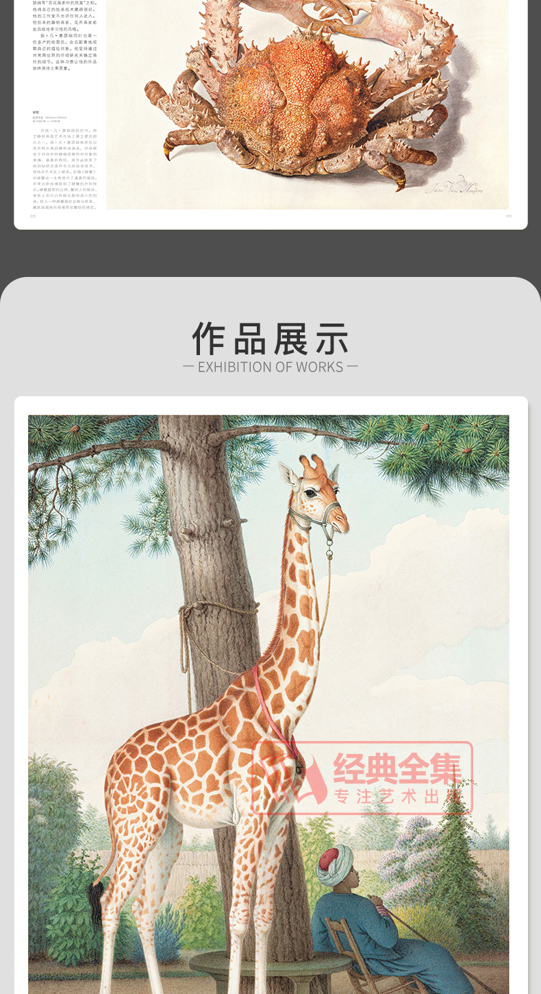 详情28.jpg