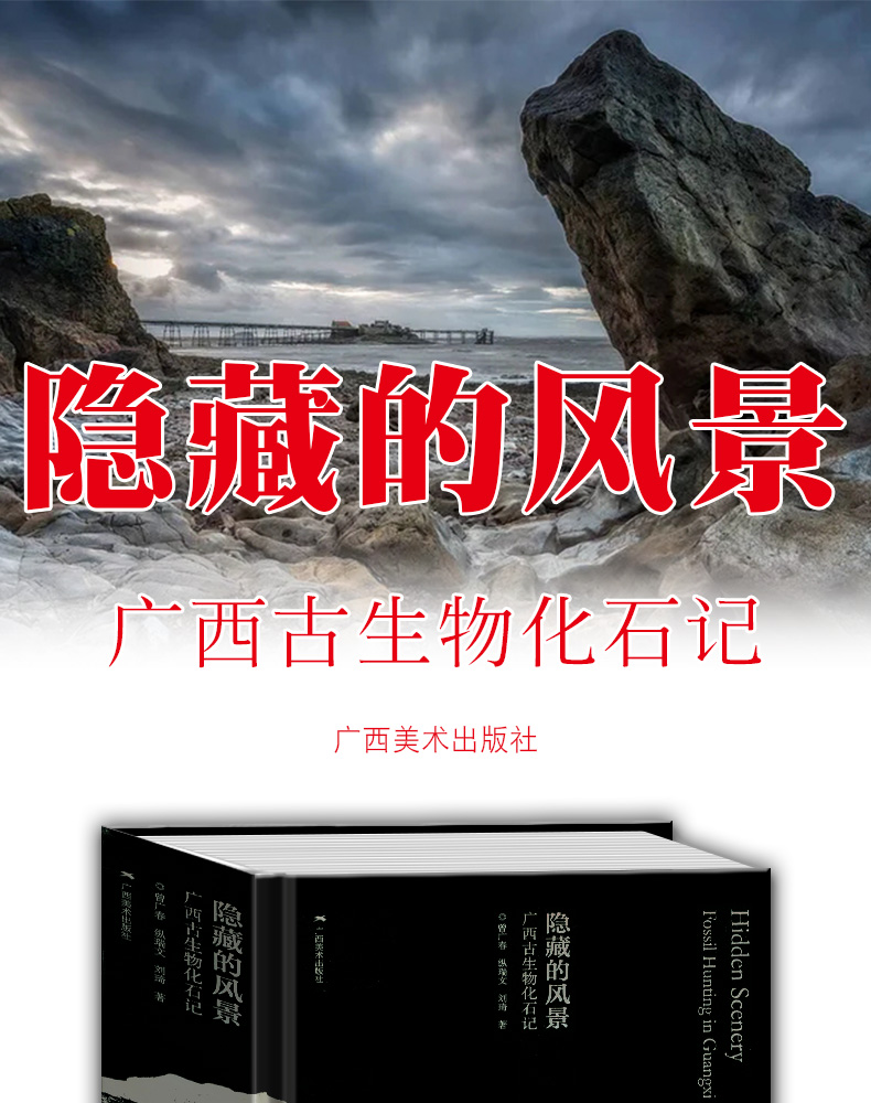 详情-02.jpg