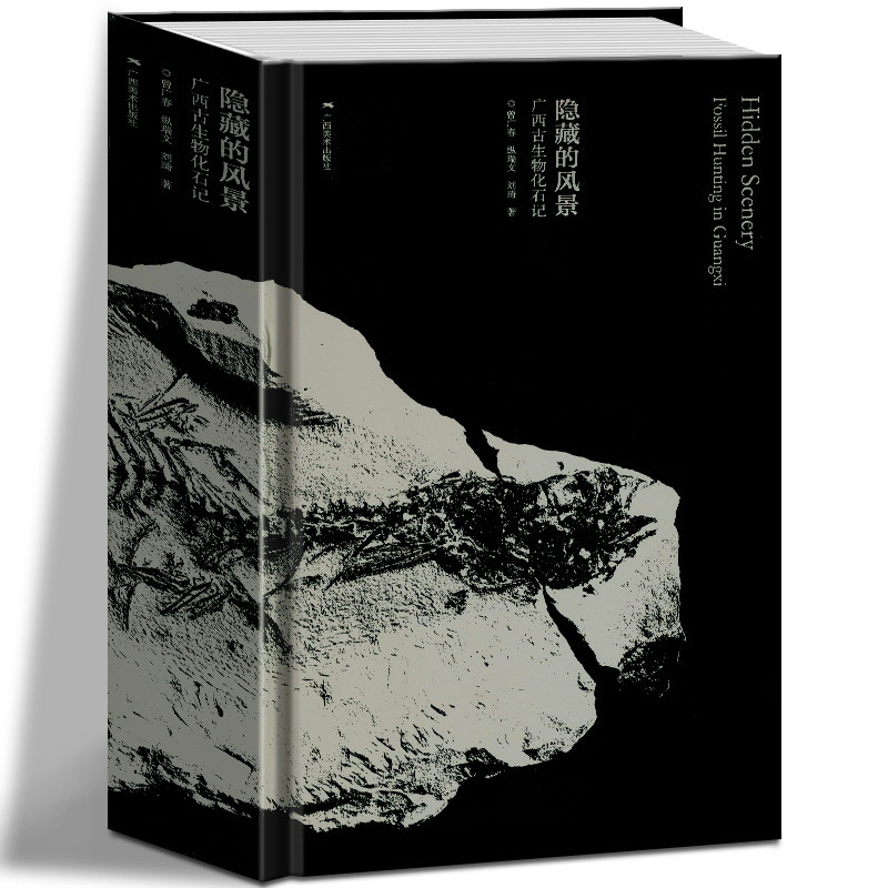 隱藏的風景·廣西古生物化石記（重達1.9公斤）