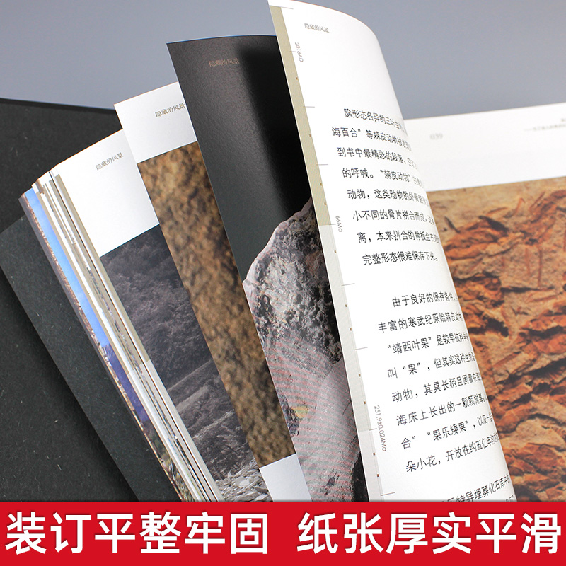 隱藏的風景·廣西古生物化石記（重達1.9公斤）