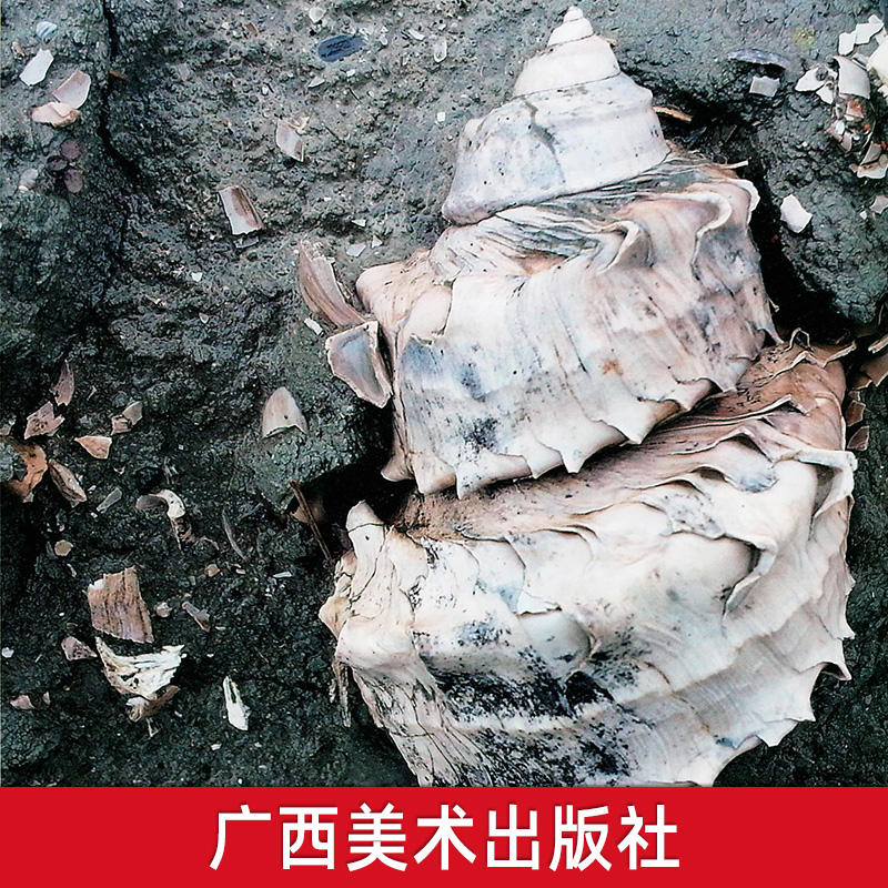 隱藏的風景·廣西古生物化石記（重達1.9公斤）