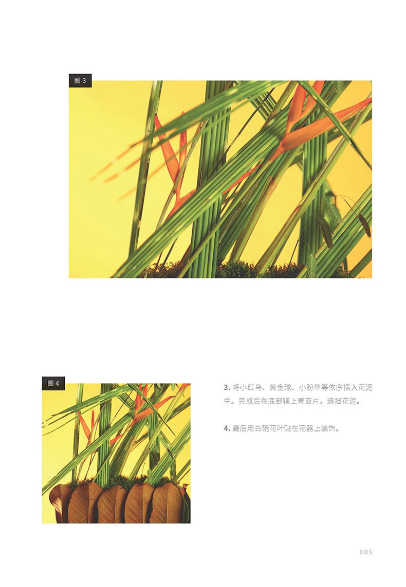 书摘12.jpg