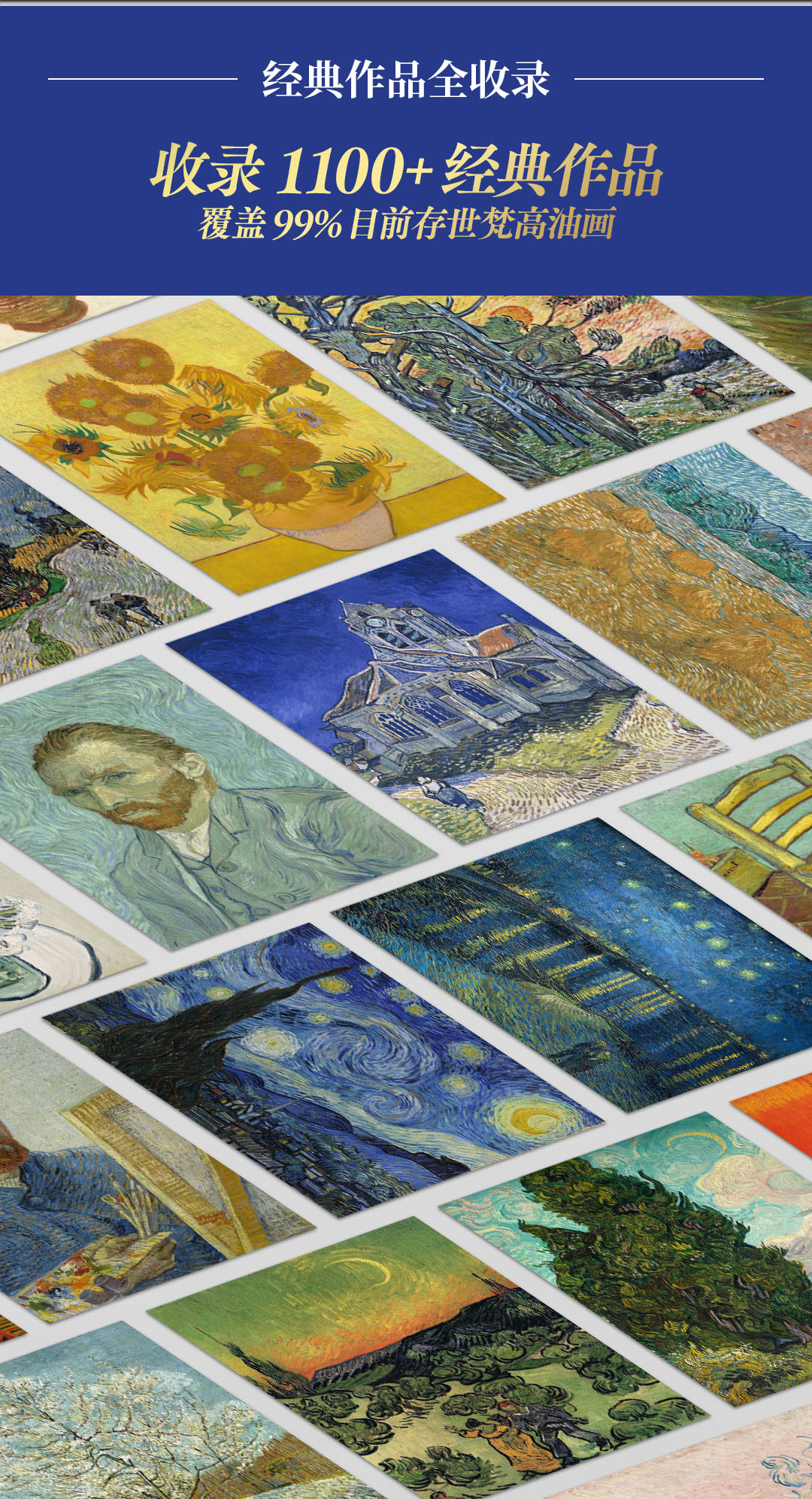 1711118353579282.jpg 详情9.jpg