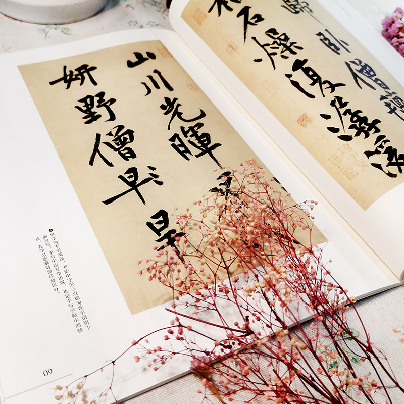 十大行書名帖放大臨摹本（全五冊）