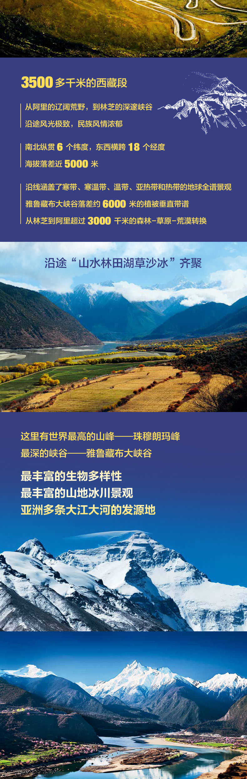详情2.jpg