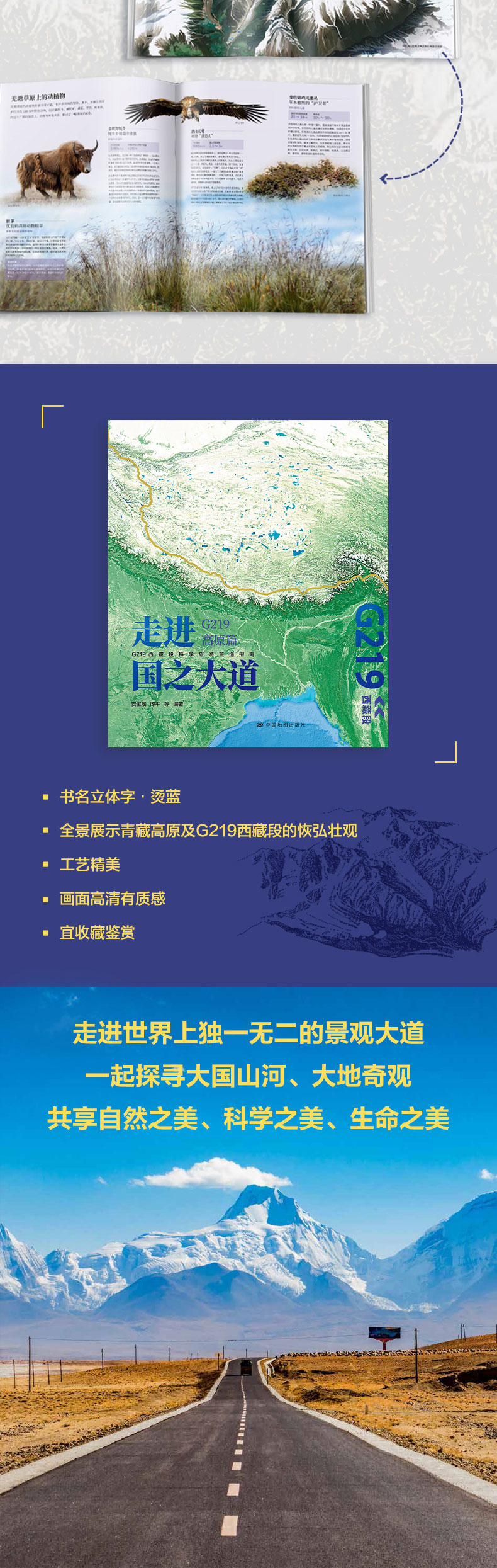 详情5.jpg