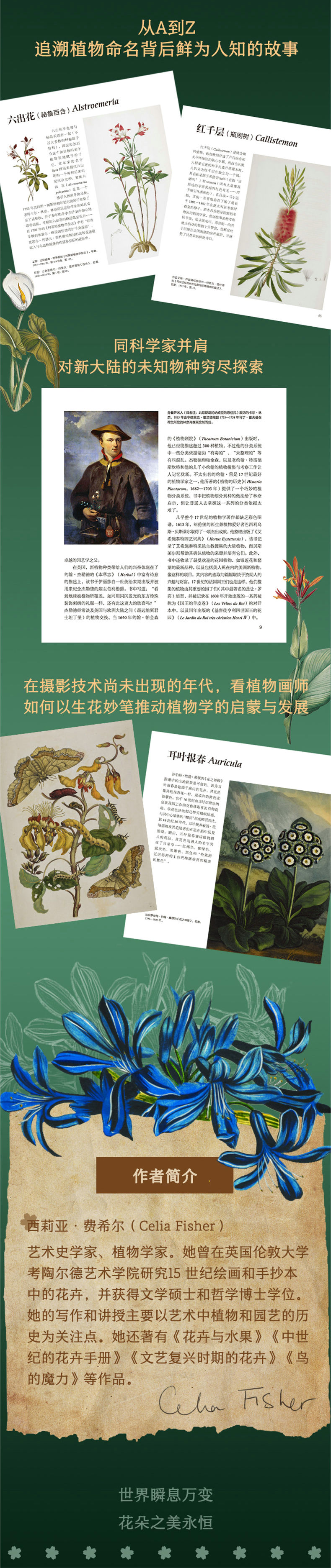 详情2.jpg