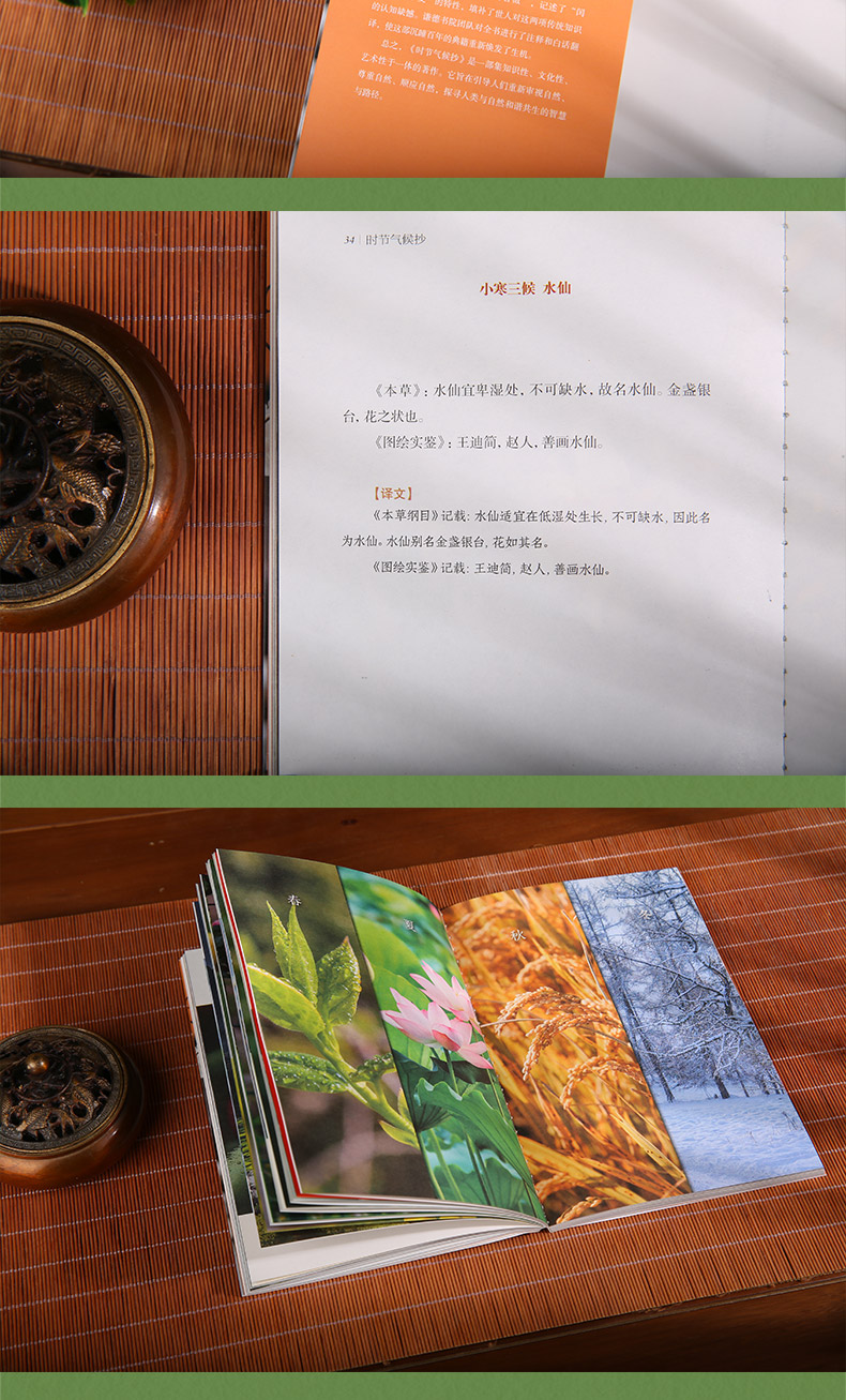详情9.jpg