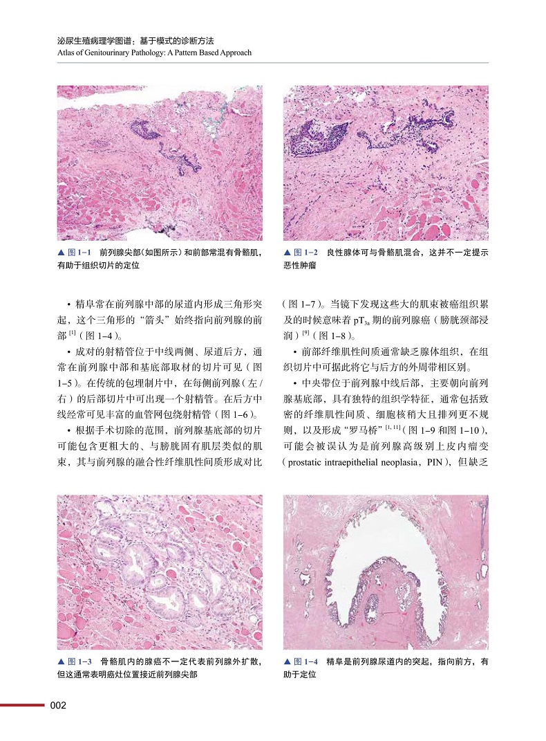 详情-02.jpg