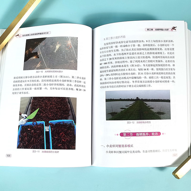 主图5.jpg