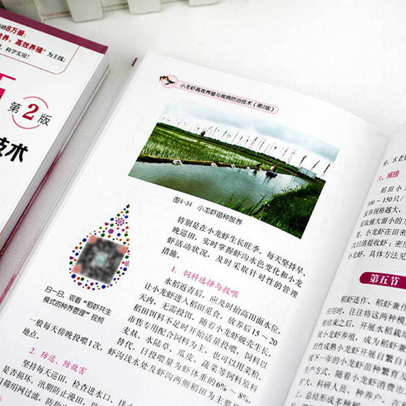 主图10.jpg