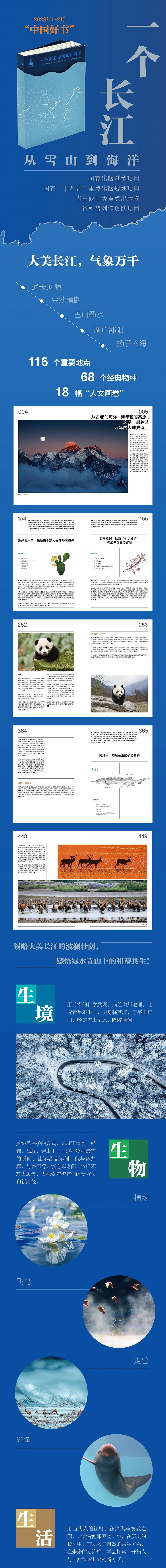 详情1.jpg