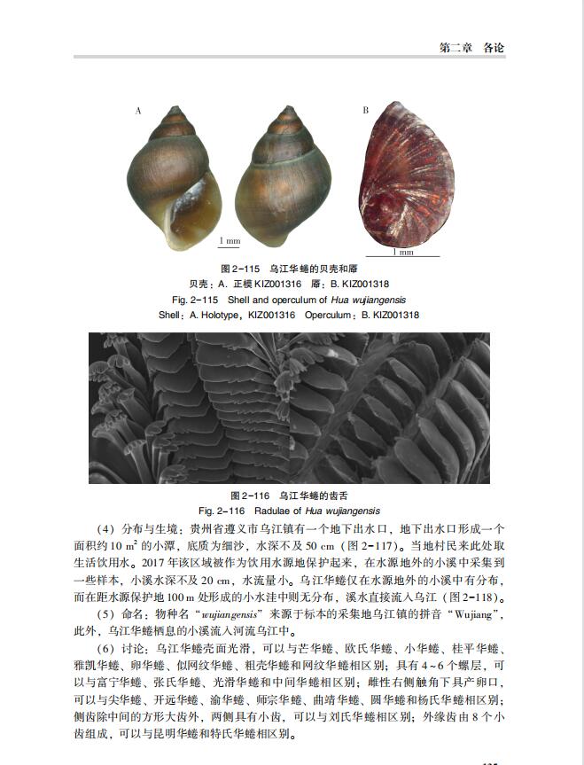 详情1.jpg