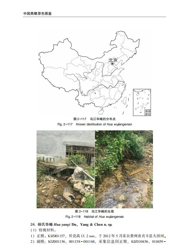 详情2.jpg