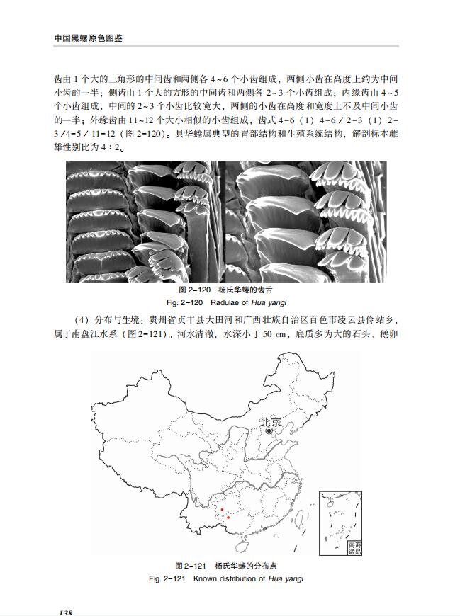 详情4.jpg