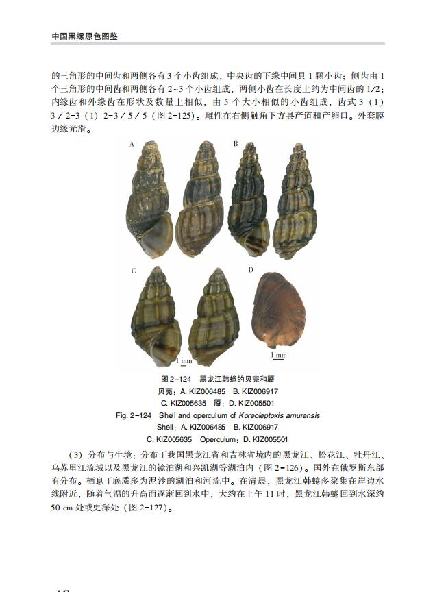 详情8.jpg