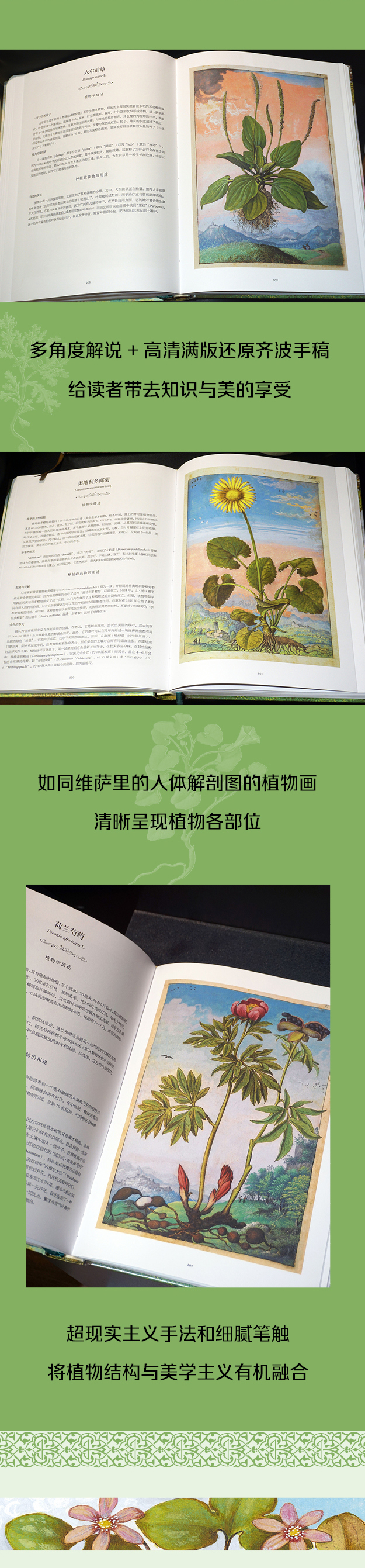 详情2.jpg
