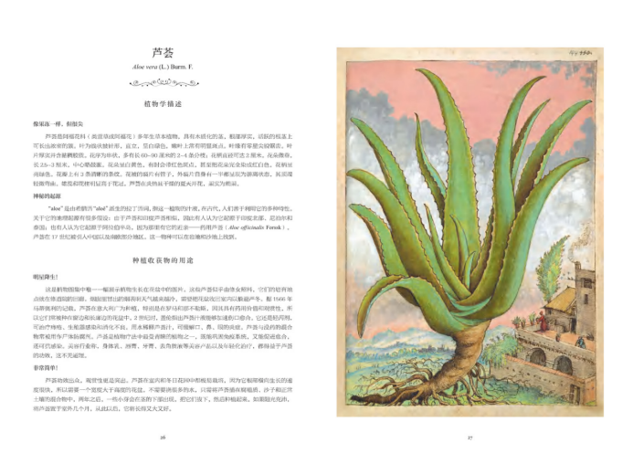 书摘1.jpg