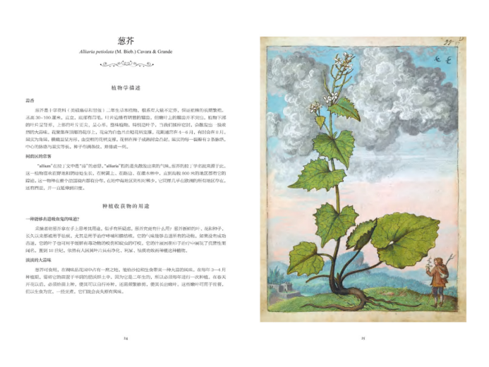 书摘2.jpg