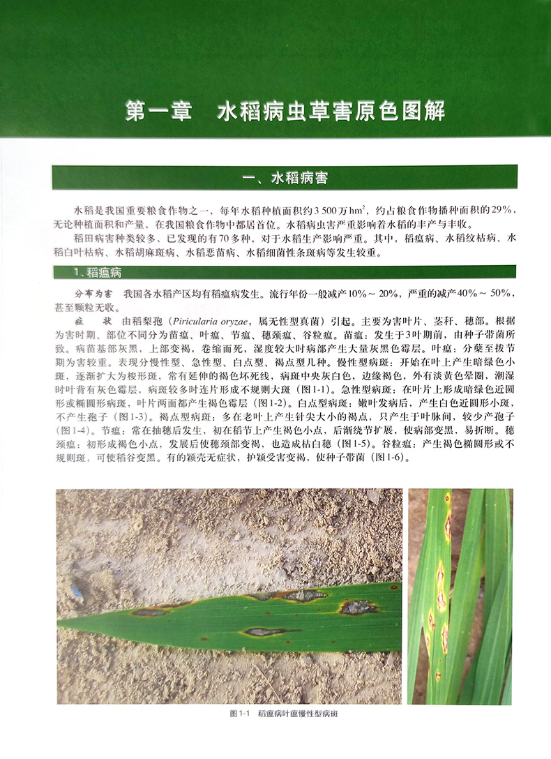 详情1.jpg