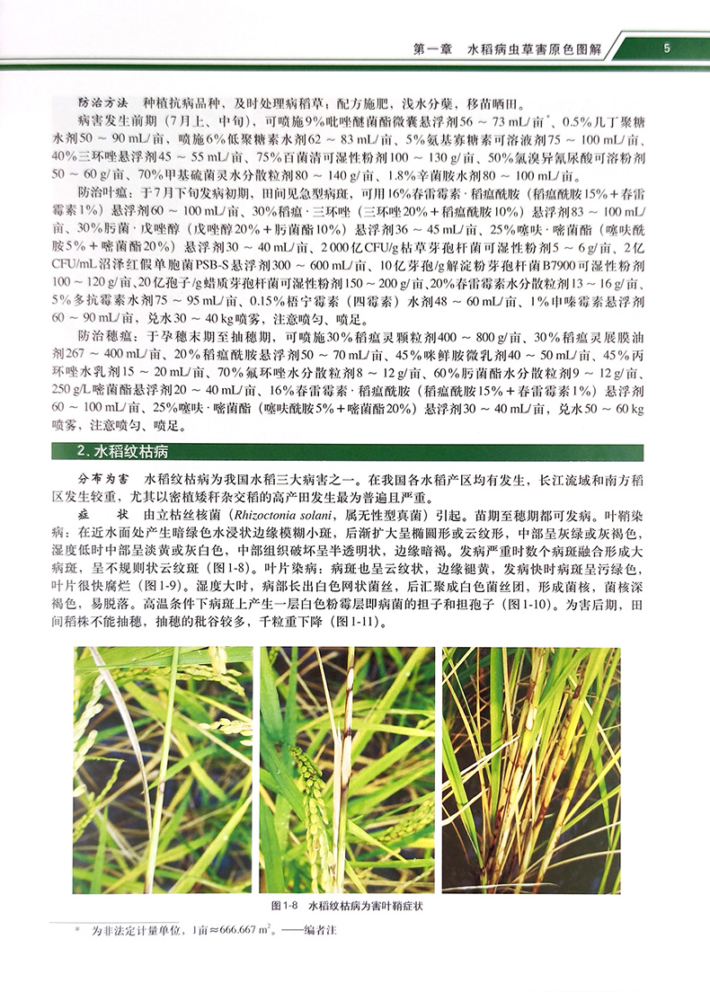 详情3.jpg