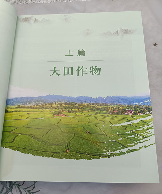 实拍1.jpg