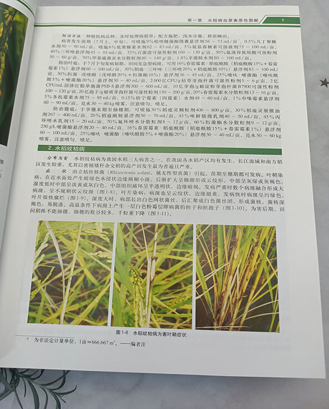 实拍3.jpg