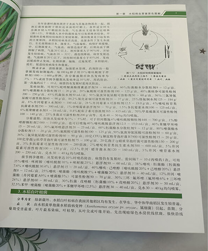 是宽了4.jpg