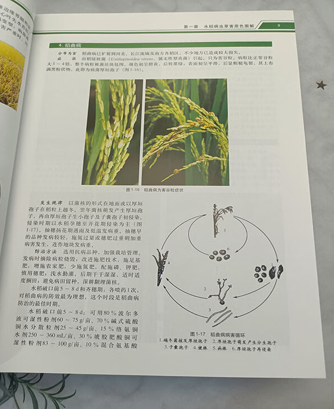实拍5.jpg