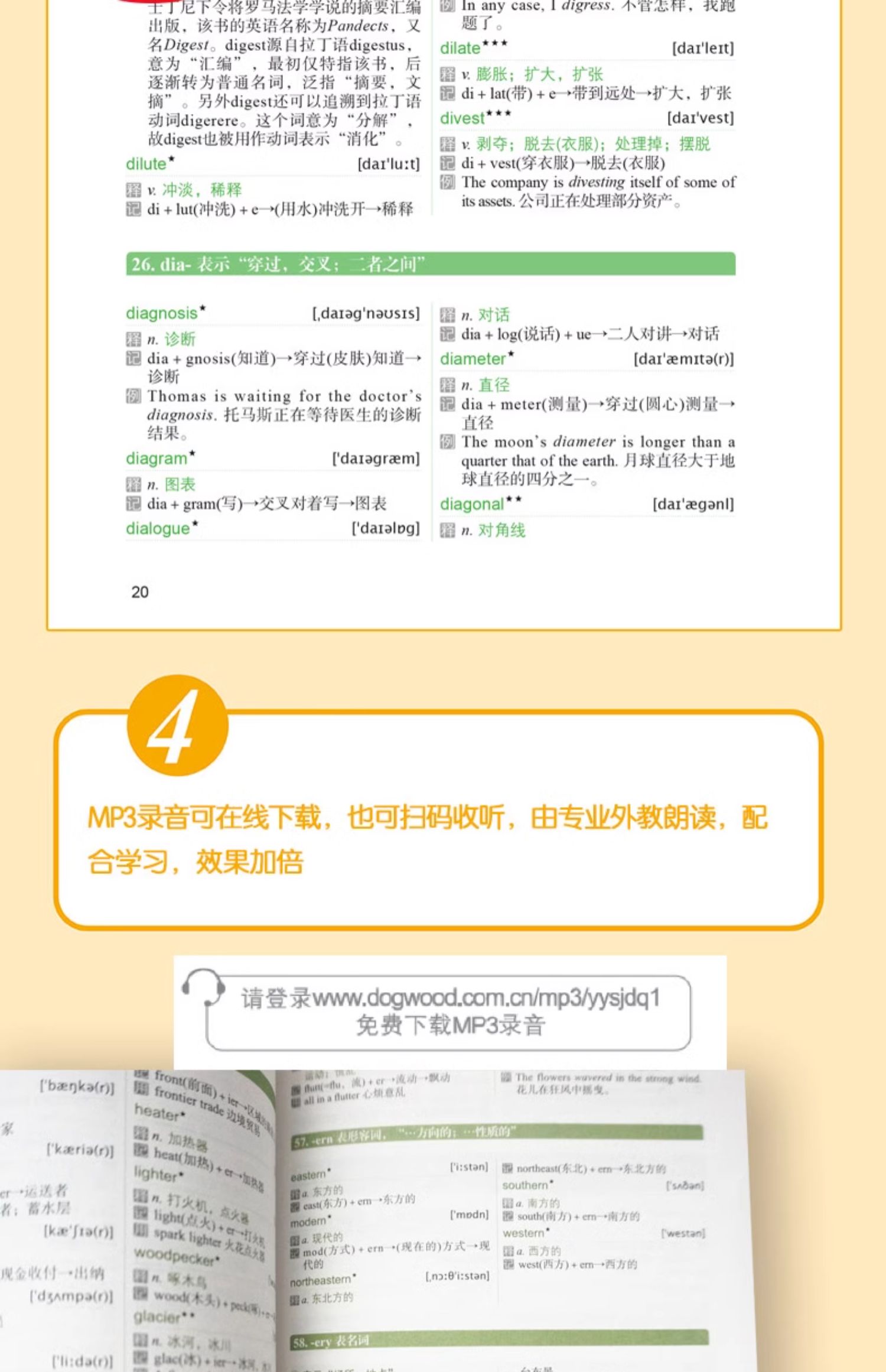 详情13.jpg