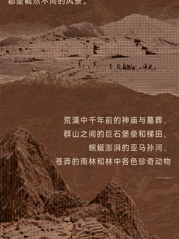 详情3.jpg