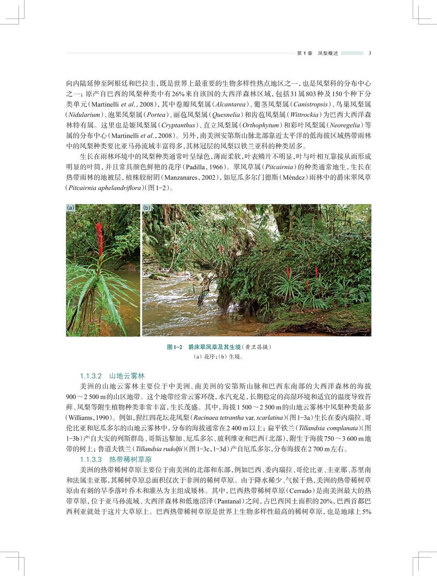 详情3.jpg