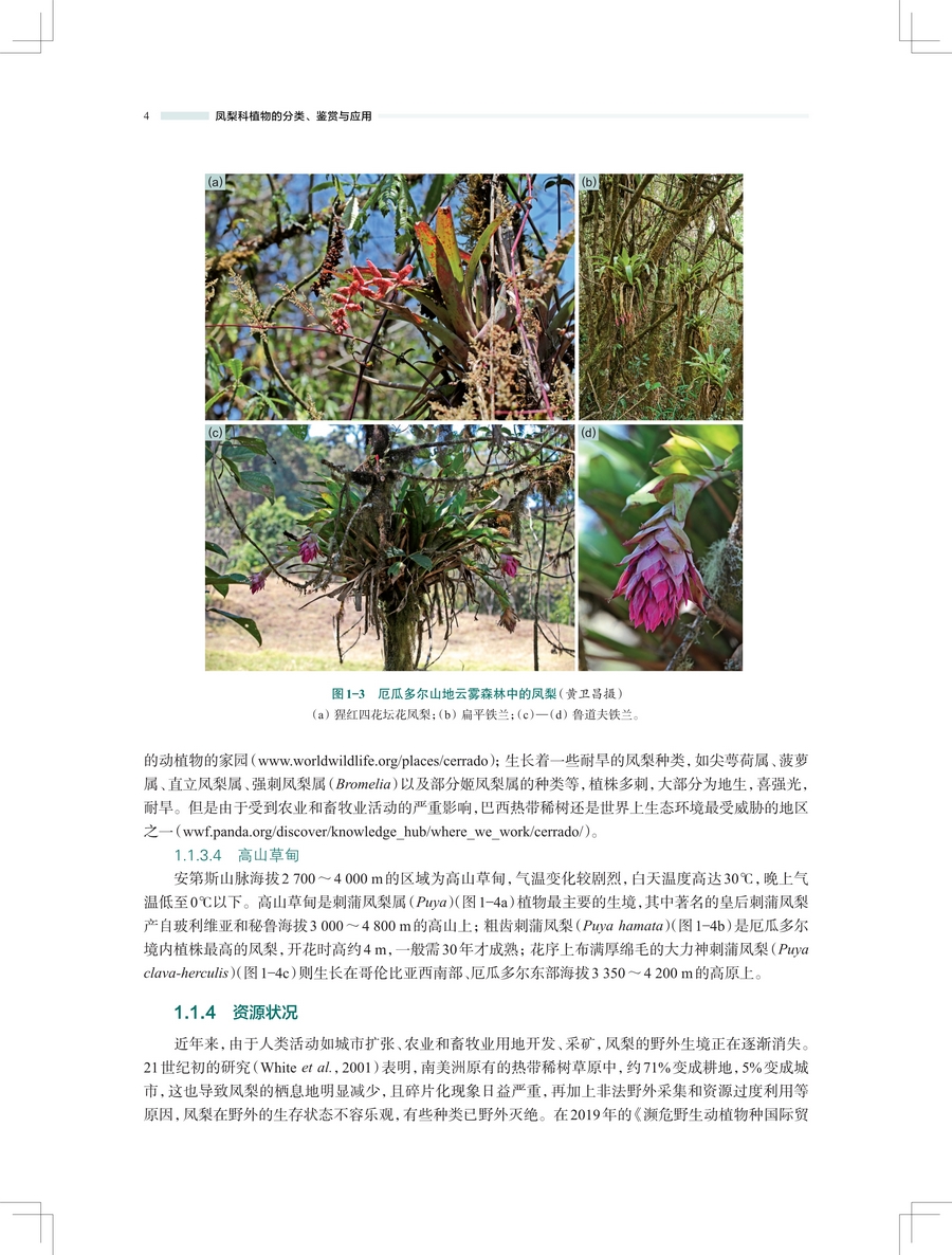 详情4.jpg