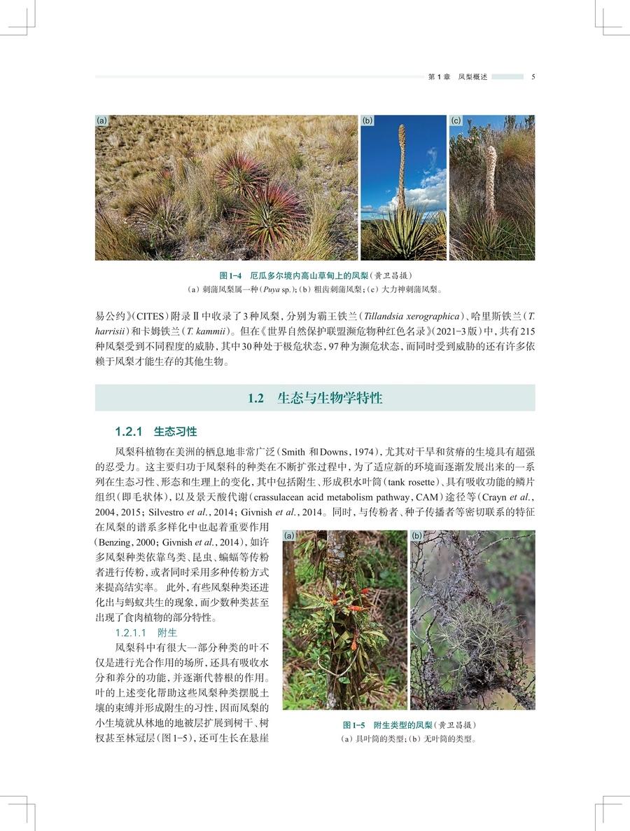 详情5.jpg