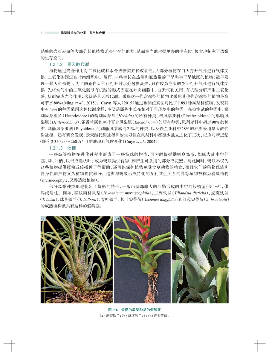 详情6.jpg