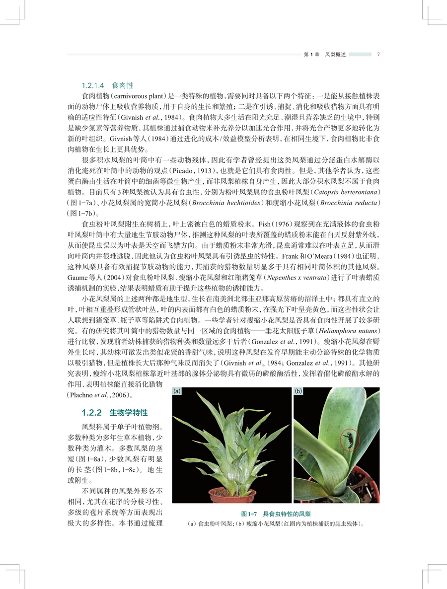 详情7.jpg