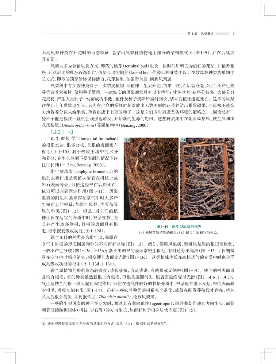 详情9.jpg