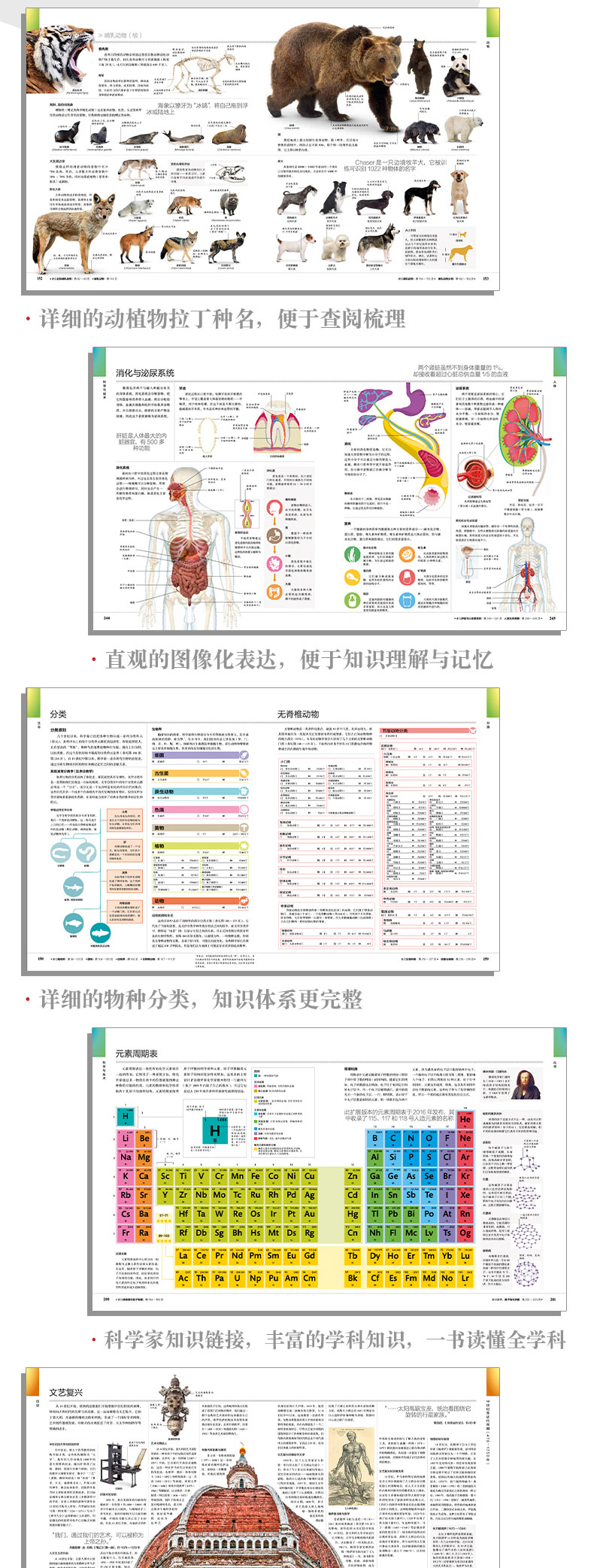 详情3.jpg
