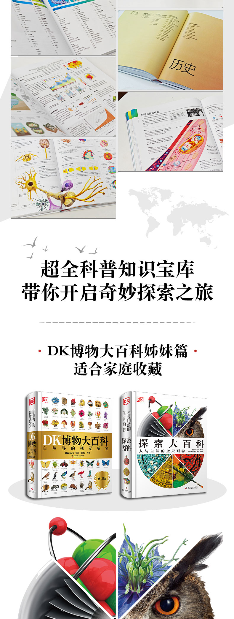详情6.jpg