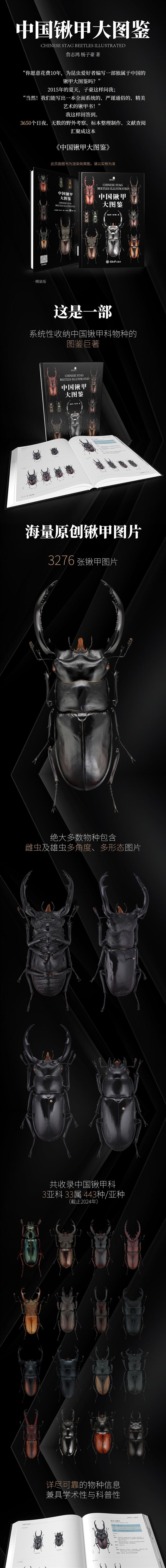 详情1.jpg