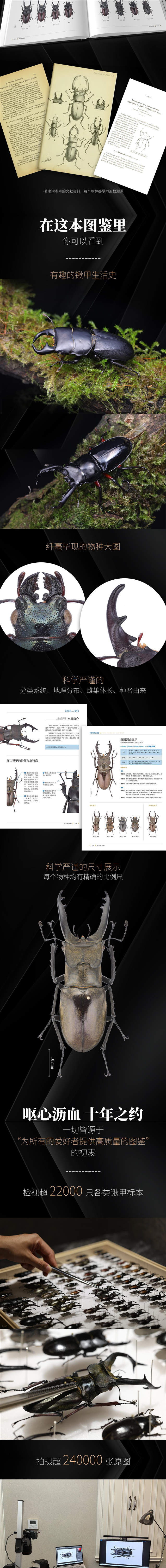 详情2.jpg