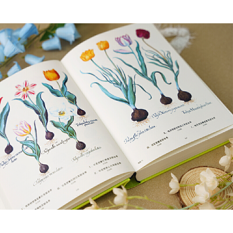2025新書推薦：【植物聖經】（法國國家自然歷史博物館典藏全彩復刻，跨越400年的科學與藝術瑰寶，一部改寫人類植物認知的里程碑式巨作）