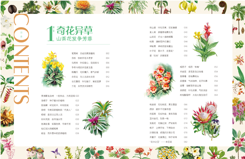 目录4.jpg