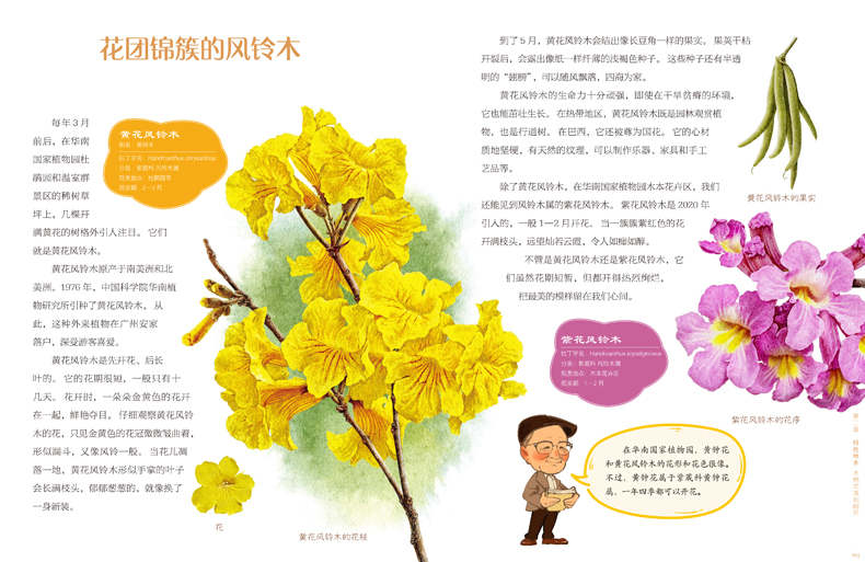 书摘8.jpg